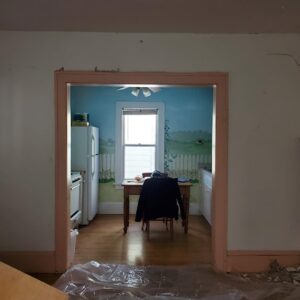 Residential painter in St. Paul, MN
